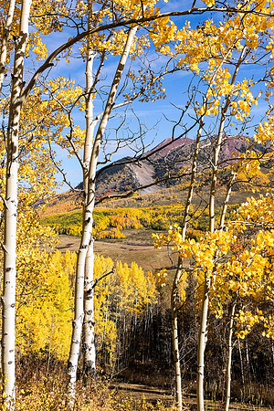 Mt Crested Butte Colorado
