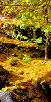 Merced River Fall Colors