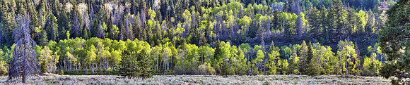 Hwy 150 Utah