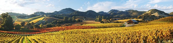 Napa Co Carneros Pano
