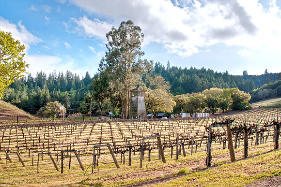 Sonoma Co Independence Lane