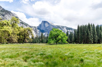 Halfdome YNP