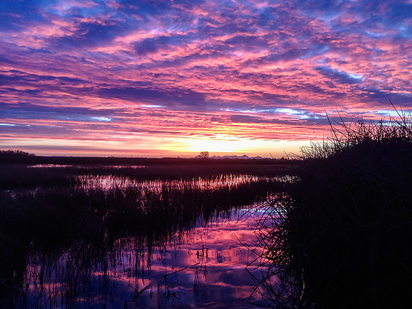 Sacramento NWR Sunrise
