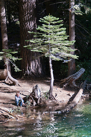 Eastern Sierras Hwy 120