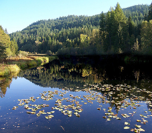 Hope Idaho