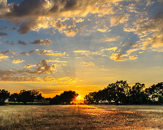 Sebastopol, CA Sunset