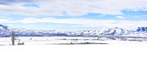 Utah Snowscape