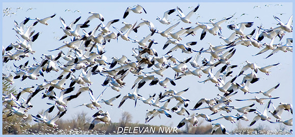 Delevan, CA