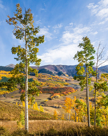 Crested Butte Colorado