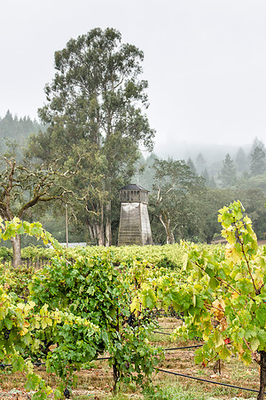 Geyserville, CA Foggy Tower