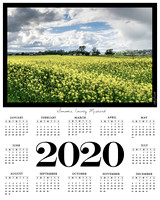 Stormy Mustard Field