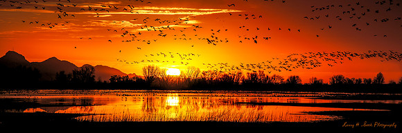 Delevan NWR Sunrise