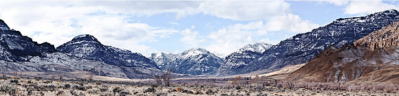Cody Wyoming