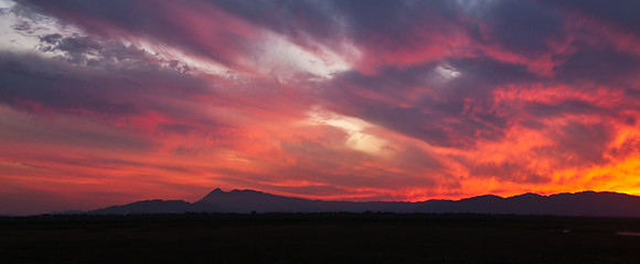 Sonoma County (near Skaggs Island)