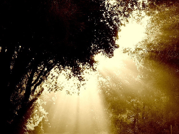 Rohnert Park, CA