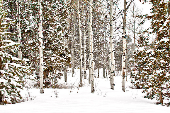 Beaver Creek Utah