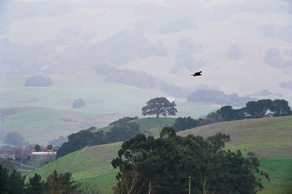 Napa, CA