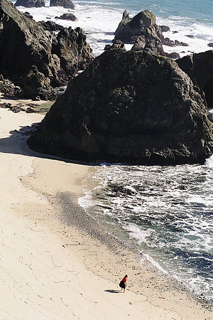 Somoma CA Coast - Hwy 1