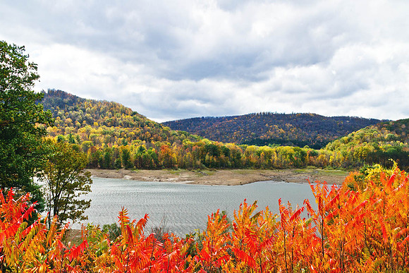 PA Fall Colors