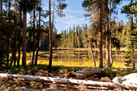 High Elevation Lake