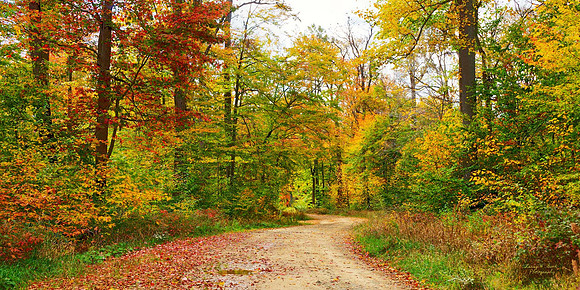PA Allegheny Nat Forest