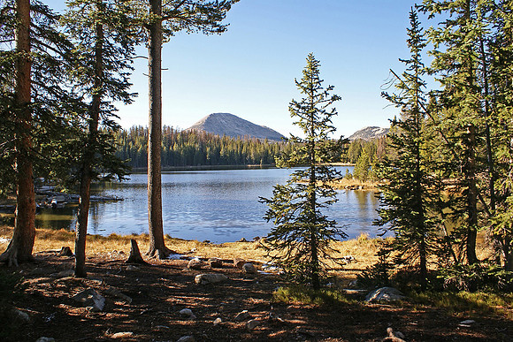 Utah National Forest