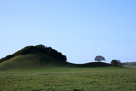 Marin, CA