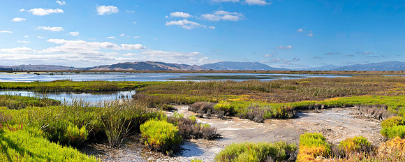Sonoma County