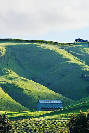 Sonoma CA Barn