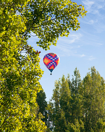 Napa Valley Balloons