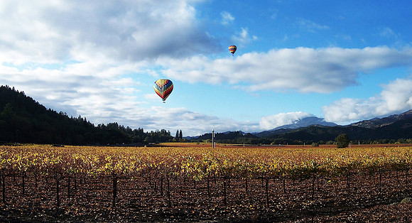 Calistoga CA Balloons