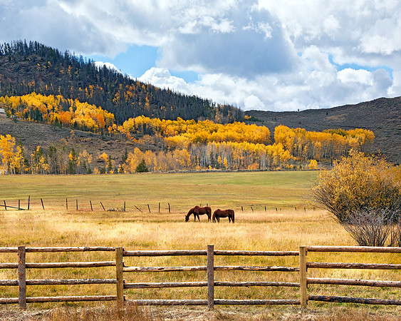 Colorado Fall Colors